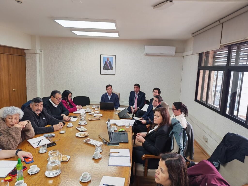 FENADEP estuvo presente en la Mesa Técnica Nacional junto al Ministerio de Educación y la Dirección de Educación Pública.